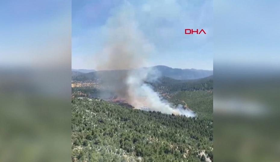 Antalya'da Orman Yangını: Hem Havadan Hem Karadan Müdahale Ediliyor